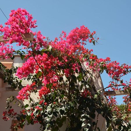 Villa Teti - Sicilia Campofelice Di Roccella Εξωτερικό φωτογραφία