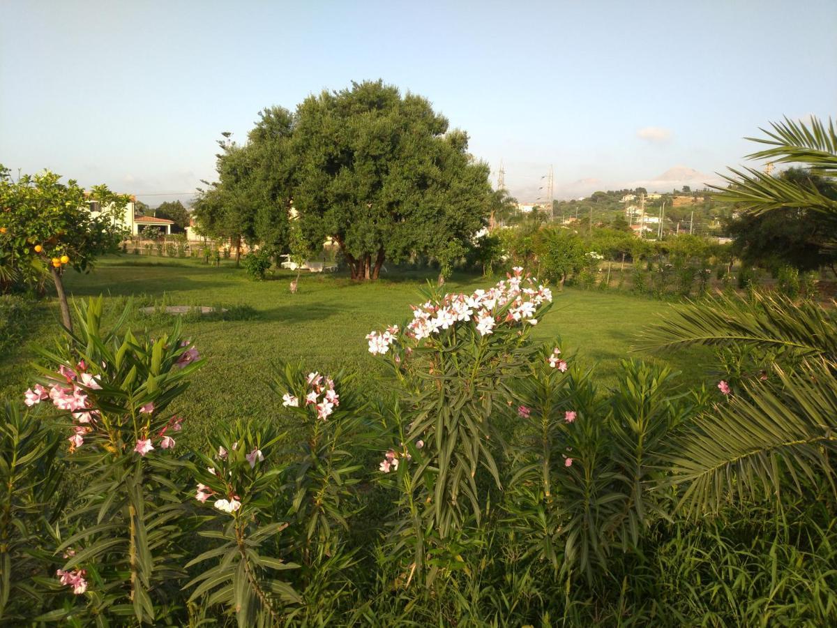 Villa Teti - Sicilia Campofelice Di Roccella Εξωτερικό φωτογραφία